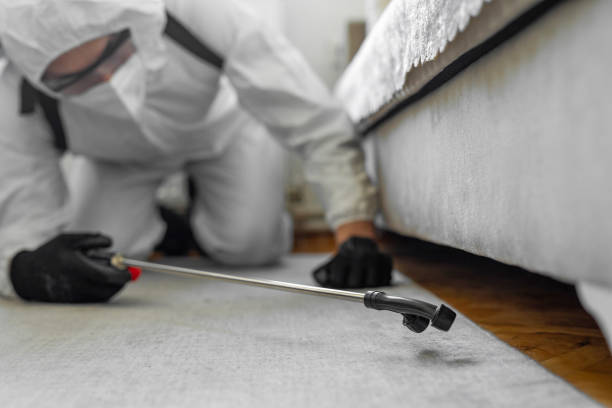 Professional Cockroach Control technician working in Mount Vernon, AL
