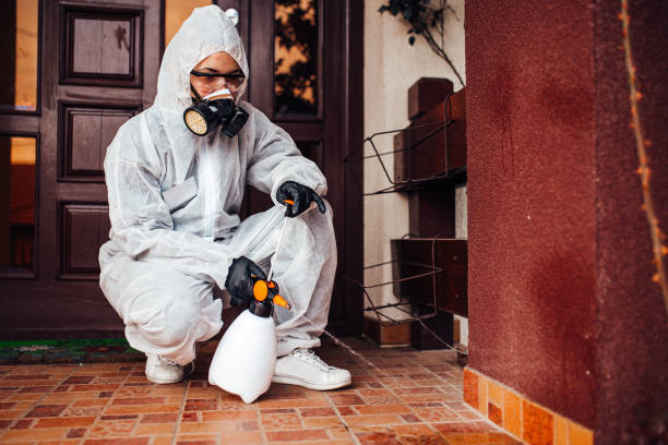 Reliable Cockroach Control contractor in Mount Vernon, AL by Nex Pest Control