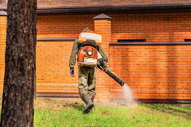 Top rated local Cockroach Control specialists in Mount Vernon, AL